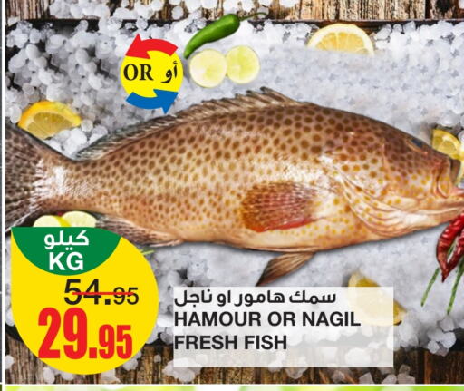 available at SPAR  in KSA, Saudi Arabia, Saudi - Riyadh