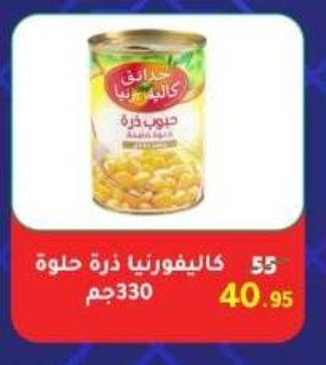 كاليفورنيا جاردن available at وكالة المنصورة - الدقهلية‎ in Egypt - القاهرة