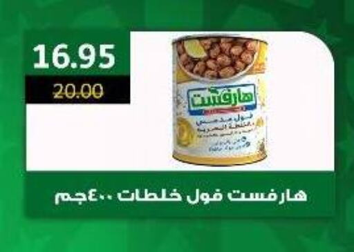 available at وكالة المنصورة - الدقهلية‎ in Egypt - القاهرة