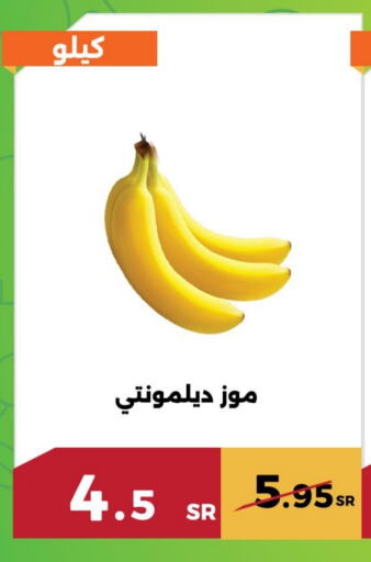 available at حدائق الفرات in مملكة العربية السعودية, السعودية, سعودية - مكة المكرمة