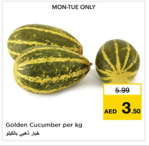 Cucumber available at نستو هايبرماركت in الإمارات العربية المتحدة , الامارات - الشارقة / عجمان