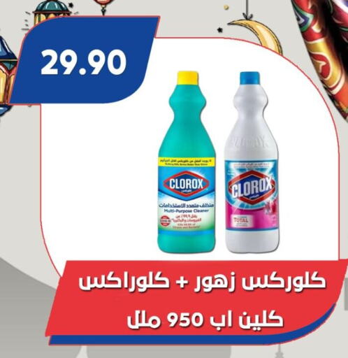 CLOROX General Cleaner available at Bassem Market in Egypt - Cairo