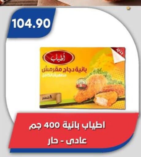 بانية الدجاج available at باسم ماركت in Egypt - القاهرة