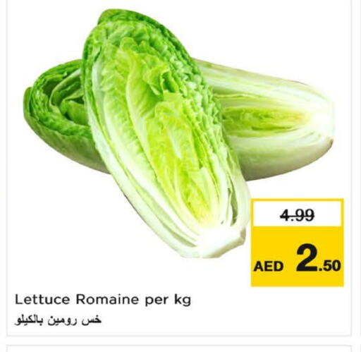 Lettuce available at نستو هايبرماركت in الإمارات العربية المتحدة , الامارات - ٱلْفُجَيْرَة‎