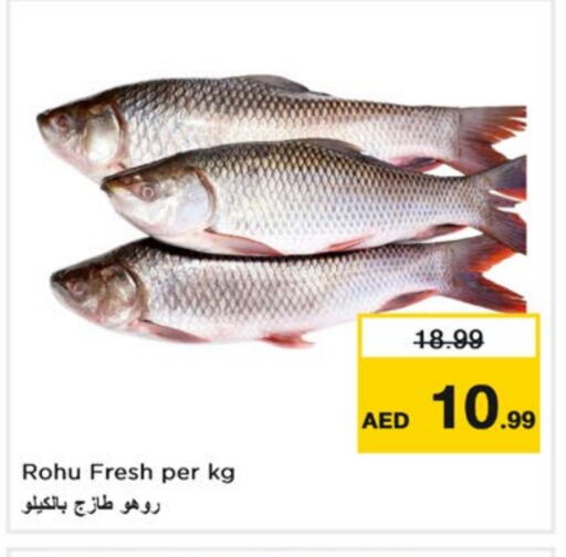 available at نستو هايبرماركت in الإمارات العربية المتحدة , الامارات - الشارقة / عجمان