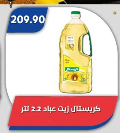 available at باسم ماركت in Egypt - القاهرة