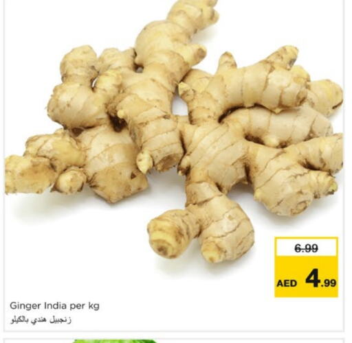 Ginger from India available at Nesto Hypermarket in UAE - Sharjah / Ajman