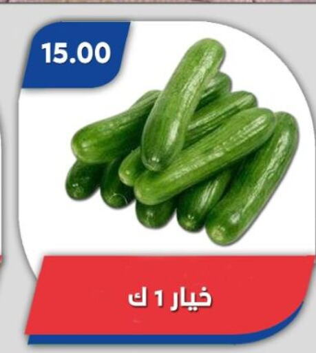 خيار available at باسم ماركت in Egypt - القاهرة