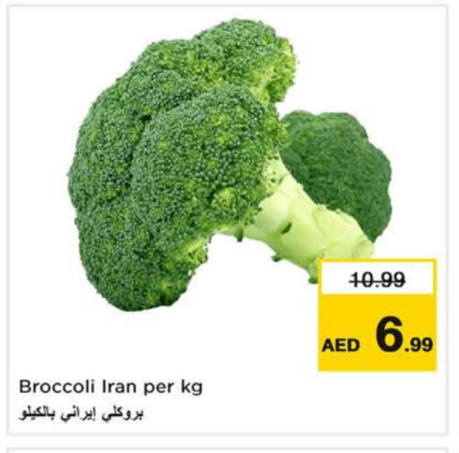 بروكلي from Iran available at لاست تشانس in الإمارات العربية المتحدة , الامارات - الشارقة / عجمان