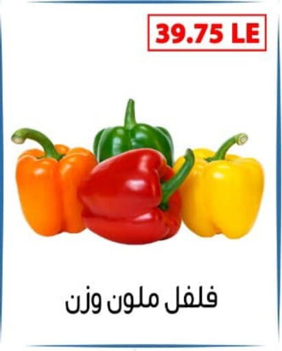 فلفل / فليفلة available at بن سليمان in Egypt - القاهرة