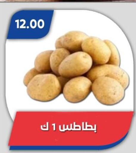 بطاطا available at باسم ماركت in Egypt - القاهرة