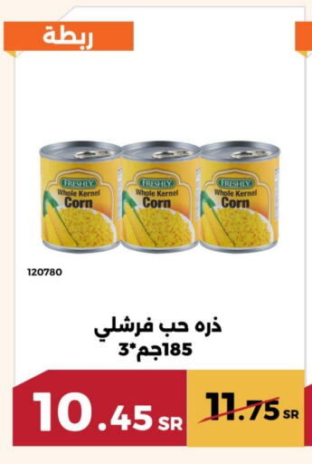 FRESHLY available at Forat Garden in KSA, Saudi Arabia, Saudi - Mecca