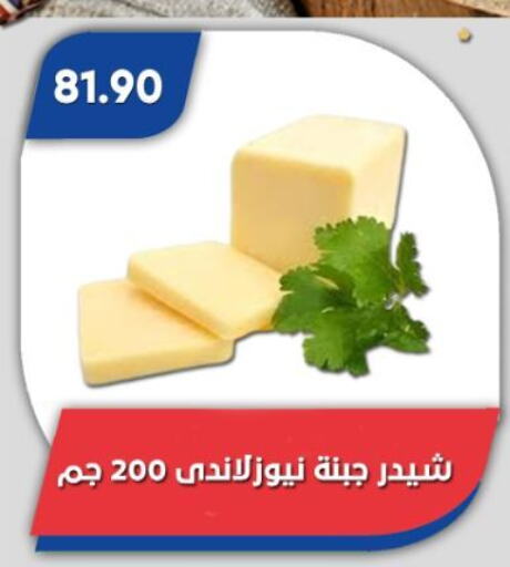 جبنة الشيدر available at باسم ماركت in Egypt - القاهرة