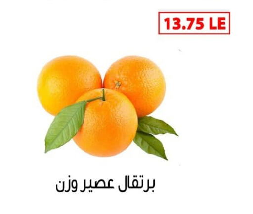 برتقال available at بن سليمان in Egypt - القاهرة