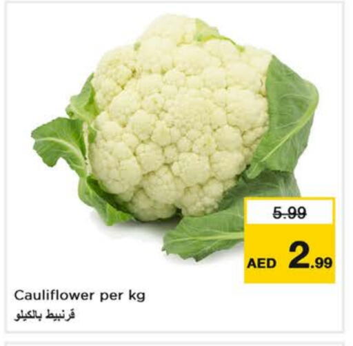 Cauliflower available at Last Chance  in UAE - Sharjah / Ajman