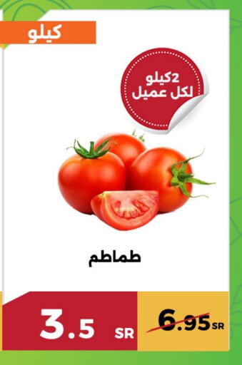 طماطم available at حدائق الفرات in مملكة العربية السعودية, السعودية, سعودية - مكة المكرمة