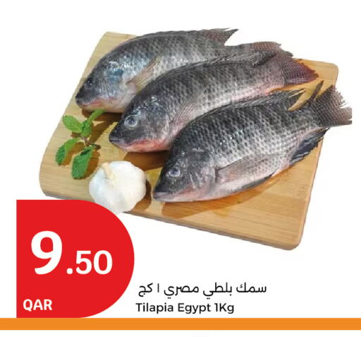 available at City Hypermarket in Qatar - Al Wakra