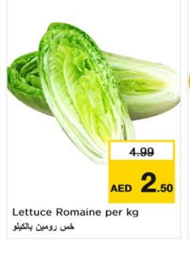 Lettuce available at Nesto Hypermarket in UAE - Dubai