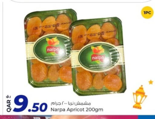 Apricot available at Rawabi Hypermarkets in Qatar - Al Wakra