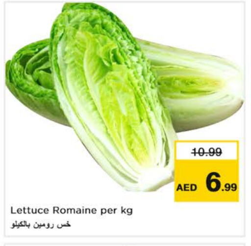 Lettuce available at Nesto Hypermarket in UAE - Dubai