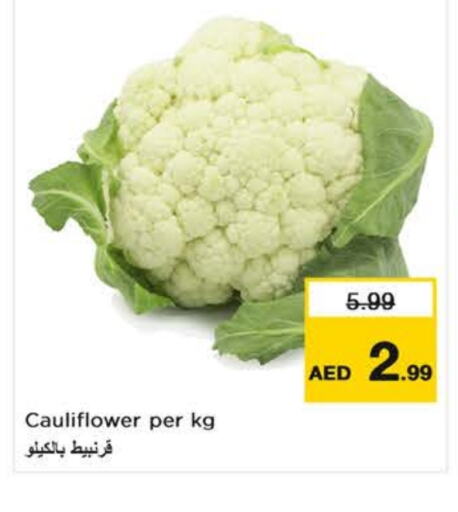 Cauliflower available at Nesto Hypermarket in UAE - Dubai