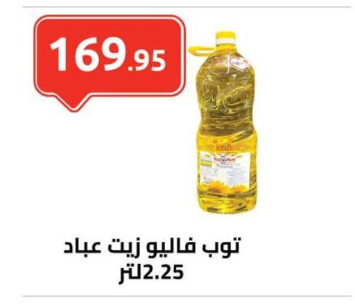 available at الهواري in Egypt - القاهرة