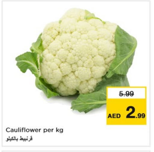 Cauliflower available at Nesto Hypermarket in UAE - Sharjah / Ajman