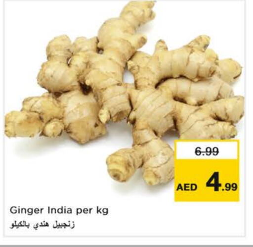 زنجبيل from India available at نستو هايبرماركت in الإمارات العربية المتحدة , الامارات - أبو ظبي