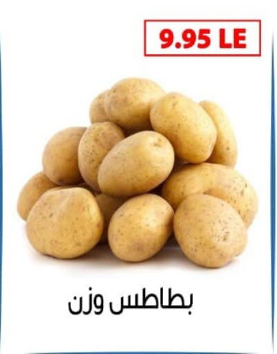 بطاطا available at بن سليمان in Egypt - القاهرة