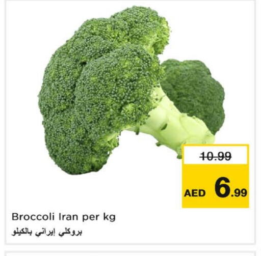 بروكلي from Iran available at لاست تشانس in الإمارات العربية المتحدة , الامارات - ٱلْفُجَيْرَة‎