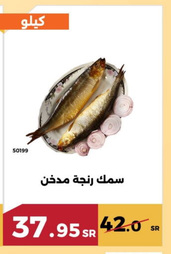 available at حدائق الفرات in مملكة العربية السعودية, السعودية, سعودية - مكة المكرمة