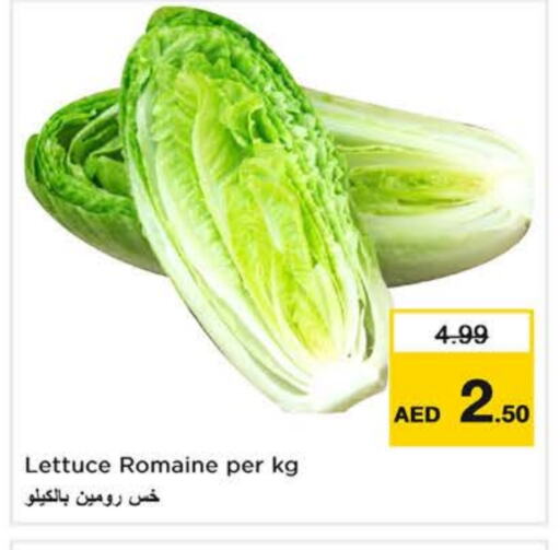 Lettuce available at Last Chance  in UAE - Sharjah / Ajman