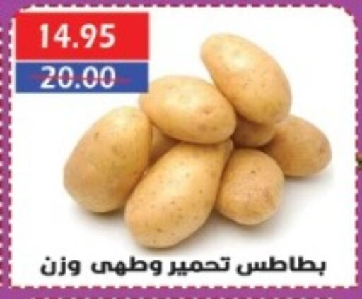 Potato available at Sarhan Market in Egypt - Cairo