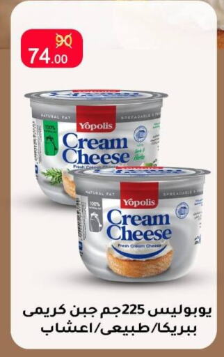 Cream Cheese available at Wekalet Elmansoura - Dakahlia  in Egypt - Cairo