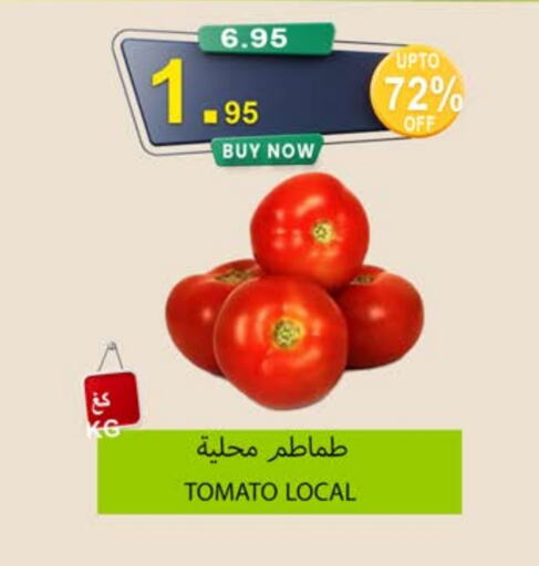 طماطم available at أسواق خير بلادي الاولى in مملكة العربية السعودية, السعودية, سعودية - ينبع