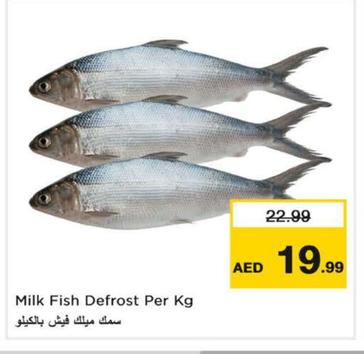 available at Nesto Hypermarket in UAE - Dubai