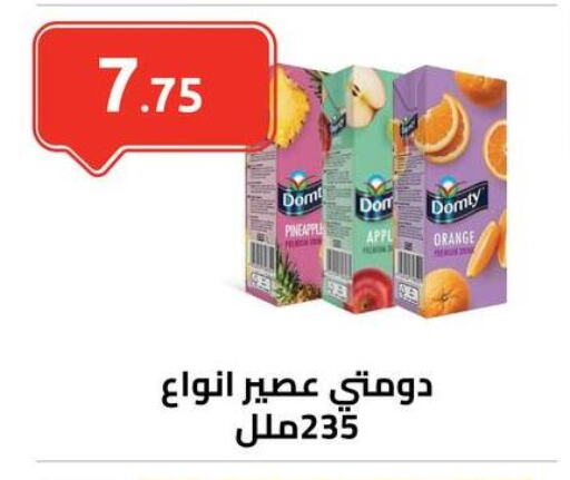 Pineapple Orange available at الهواري in Egypt - القاهرة