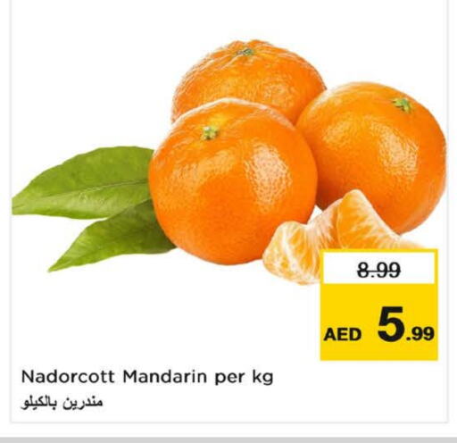 برتقال available at نستو هايبرماركت in الإمارات العربية المتحدة , الامارات - ٱلْفُجَيْرَة‎