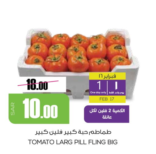 Tomato available at Sapt in KSA, Saudi Arabia, Saudi - Buraidah