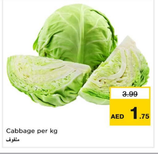 Cabbage available at نستو هايبرماركت in الإمارات العربية المتحدة , الامارات - دبي