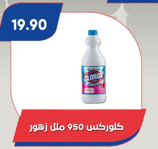 CLOROX General Cleaner available at Bassem Market in Egypt - Cairo