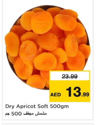 Apricot available at Last Chance  in UAE - Fujairah