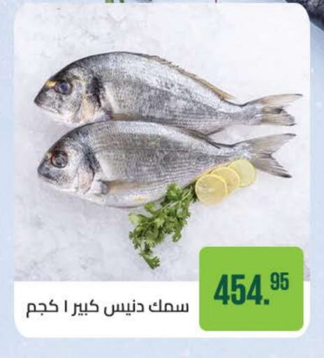 available at سعودي سوبرماركت in Egypt - القاهرة