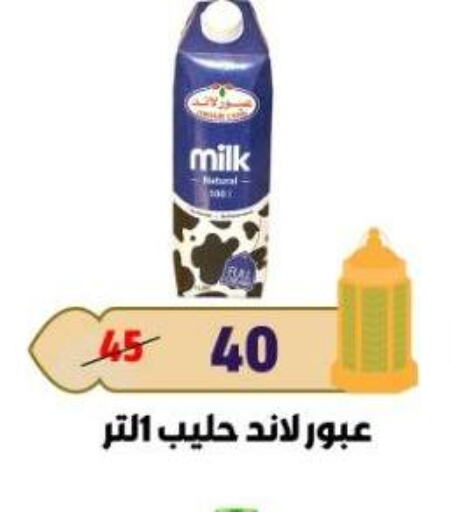 available at Master Gomla Market in Egypt - Cairo