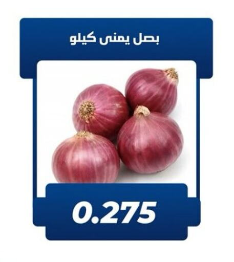 Onion available at Kaifan Cooperative Society in Kuwait - Kuwait City