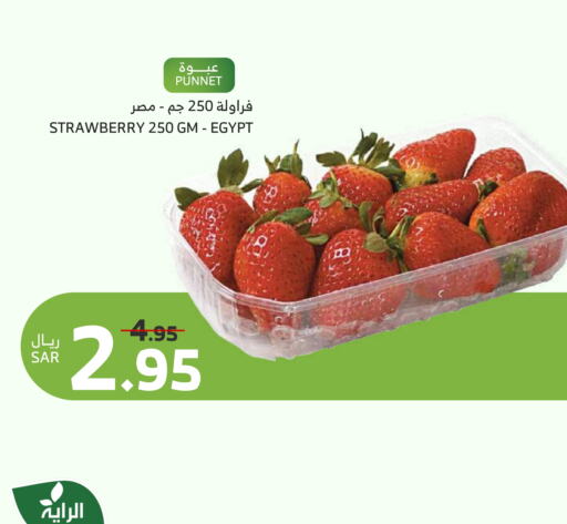 Strawberry available at الراية in مملكة العربية السعودية, السعودية, سعودية - القنفذة