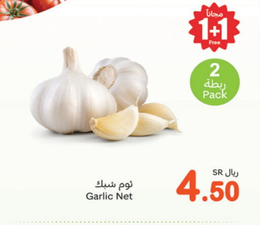 Garlic available at Othaim Markets in KSA, Saudi Arabia, Saudi - Az Zulfi