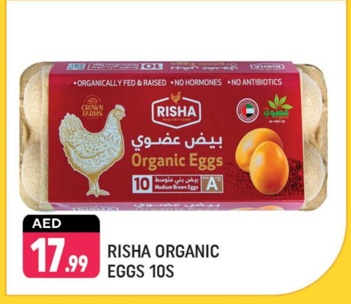 available at Shaklan  in UAE - Dubai