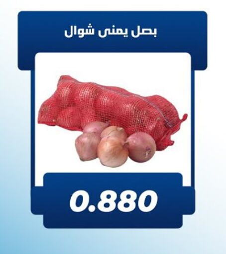 Onion available at Kaifan Cooperative Society in Kuwait - Kuwait City