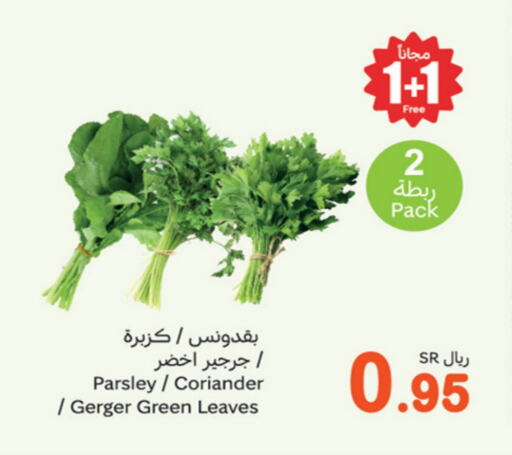 Parsley Coriander available at أسواق عبد الله العثيم in مملكة العربية السعودية, السعودية, سعودية - سكاكا